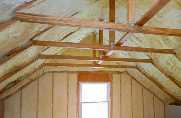 Best Insulation Repair Services  in Grand Meadow, MN