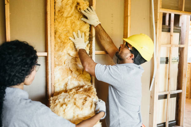 Professional Insulation Contractor in Grand Meadow, MN