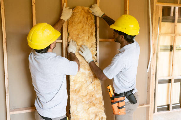 Best Insulation Replacement Services  in Grand Meadow, MN
