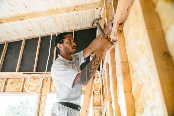 Best Best Insulation Companies  in Grand Meadow, MN