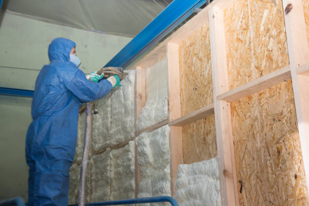 Best Residential Insulation Services  in Grand Meadow, MN