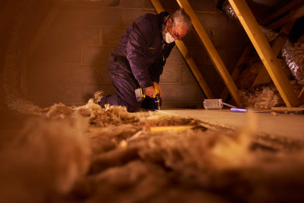 Best Insulation Contractor Near Me  in Grand Meadow, MN